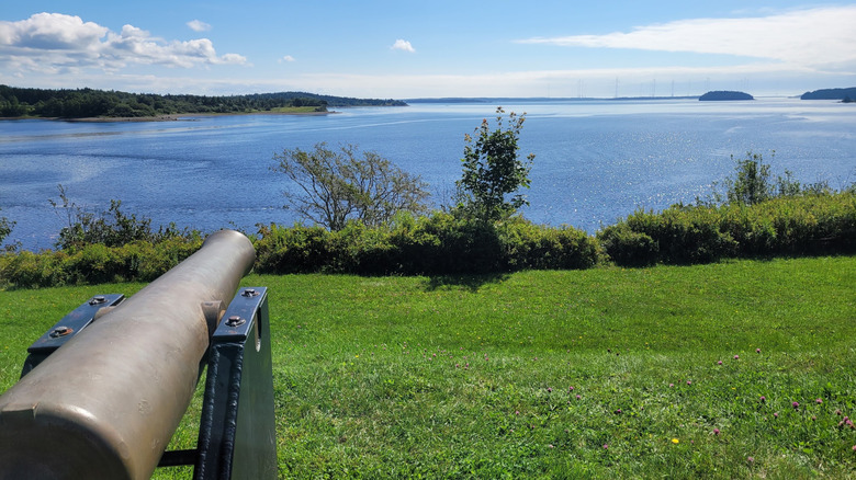 Un cañón con vistas al río Machias en el Parque Estatal Machias en Machiasport, Maine