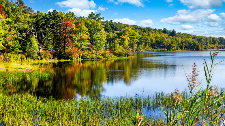 Lago Marcia