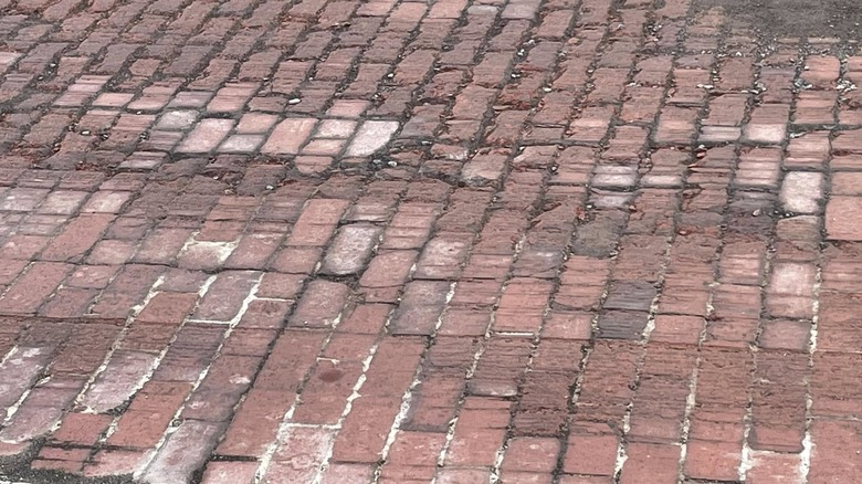Un primer plano de una calle pavimentada con ladrillos en Carrollton, Texas