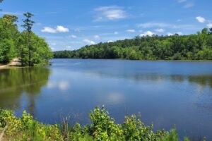 A una hora de Montgomery se encuentra el parque estatal de Alabama con campamentos, actividades en el lago y diversión en senderos