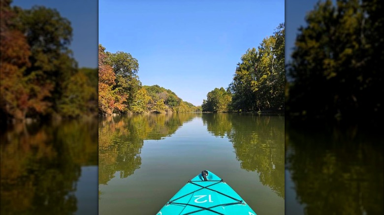Kayak en el agua rodeado de árboles, Lake Springfield Park y Boathouse, Missouri