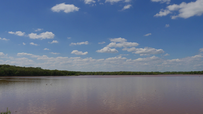 Vistas del agua rojiza y turbia en el Parque Estatal Lake Thunderbird en Oklahoma