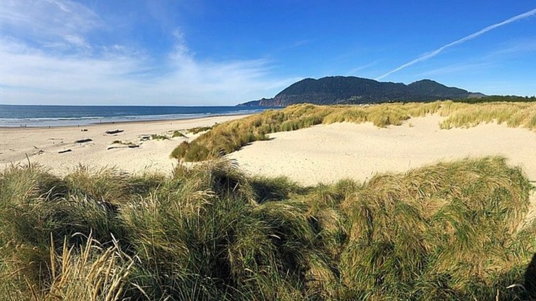 Playa Manzanita, del Parque Estatal Nehalem Bay