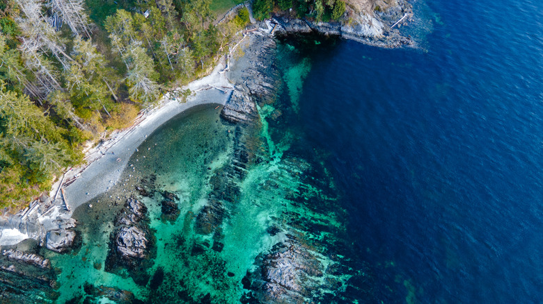 Playas de guijarros rodeadas de bosques en el norte de Saanich