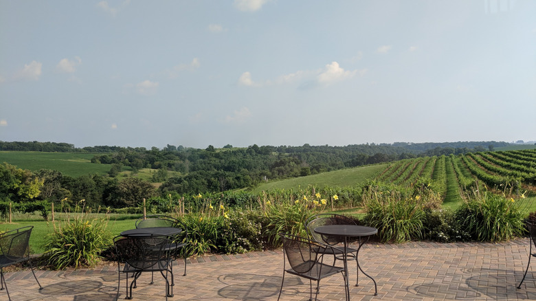 Patio con mesa y sillas rodeado de viñedos en Vernon Vineyards, Viroqua, Wisconsin.