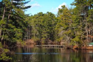 Entre Filadelfia y la costa de Jersey se encuentra el subestimado refugio de vida silvestre de Nueva Jersey con pintorescos humedales y senderos