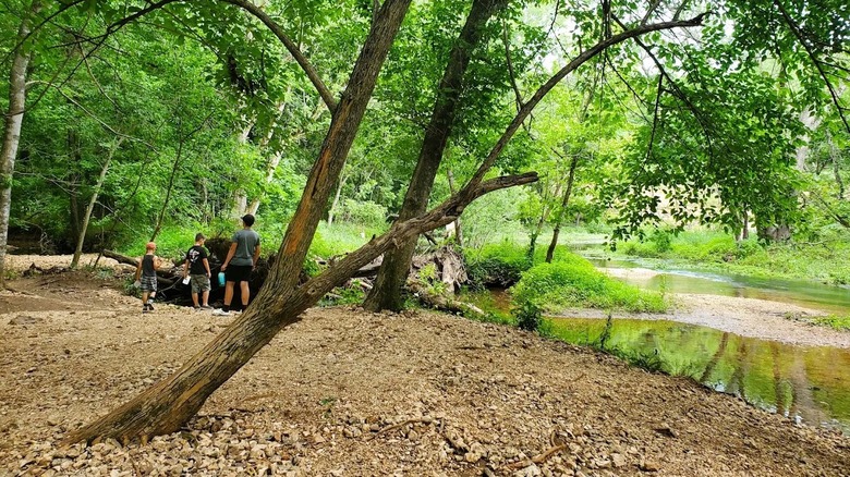 Algunos excursionistas de pie junto a un arroyo rodeado de bosques en Valley Water Mill Park en Springfield, Missouri