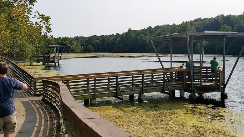 Personas pescando desde un muelle de pesca cubierto en Valley Water Mill Park en Springfield, MO, que cuenta con un lago tranquilo, un camino pavimentado y vegetación.