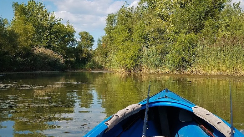 Un kayak de pesca en el agua en el área de vida silvestre y pesca de Blue Grass con árboles y juncos cercanos en la costa.