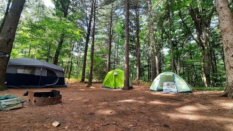 Tres tiendas de campaña instaladas para acampar en el Parque Provincial Turkey Point