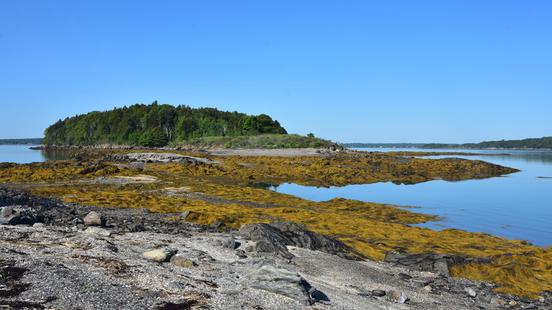 Una vista de la isla rocosa en Casco Bay cerca de Portland, Maine