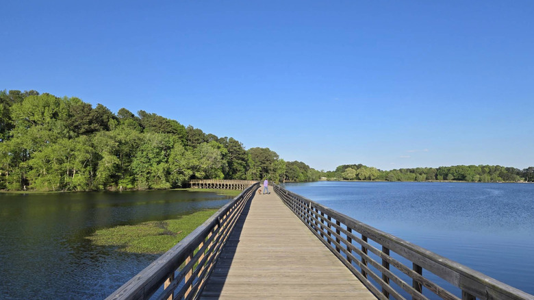 Vista del lago Wilson desde el puente, Carolina del Norte