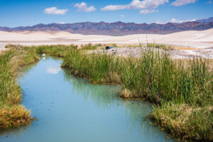 En el borde del Valle de la Muerte se encuentra la ciudad desértica única de California con aguas termales, una granja y senderos naturales pintorescos.