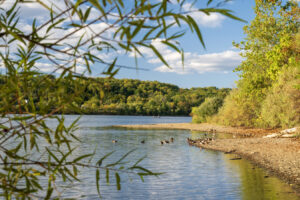 Entre Filadelfia y Allentown hay un pintoresco parque lacustre con un centro natural, pesca, vida silvestre y senderos