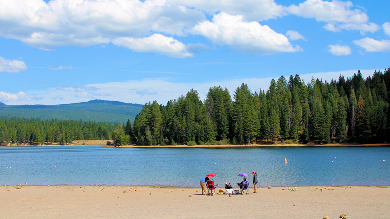 Foto de personas relajándose a orillas del lago Siskiyou.
