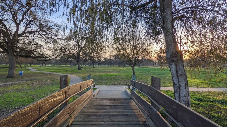 Puente de madera y camino en el Parque Regional Shumway Oak Grove, Stockton