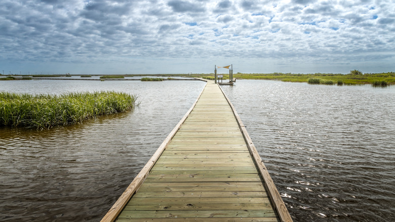 El muelle en el Parque Estatal Sea Rim en Port Arthur, Texas