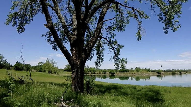Eagle Lake Park en un día soleado