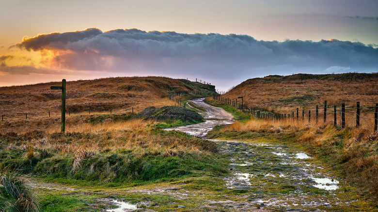 Un sendero de páramo cerca de Marsden