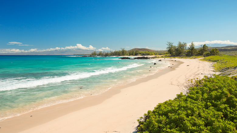 Un largo tramo de playa de arena blanca se encuentra con aguas turquesas sin gente en Makalawena Beach, Hawaii