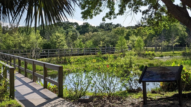 Un paseo marítimo elevado y follaje en el Parque Natural South Lake Howard en Florida
