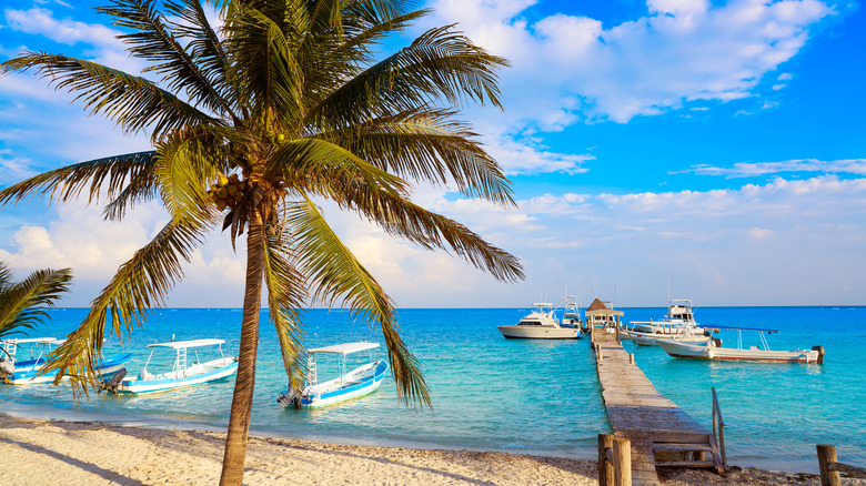 Una vista de la playa de Puerto Morelos, pasando por una palmera, contemplando las aguas azules y los barcos esperando para llevar a los visitantes a bucear en los arrecifes de coral de la costa.