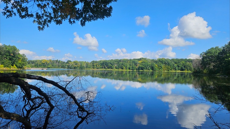 Las tranquilas aguas de un lago en el Parque Regional Lebanon Hills, Minnesota, reflejan el cielo y la vegetación