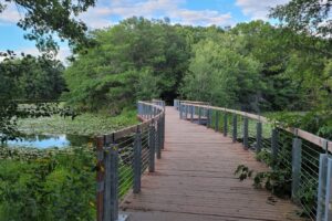 El gran parque regional de Minnesota, cerca de Minneapolis, tiene senderos, natación y campamentos