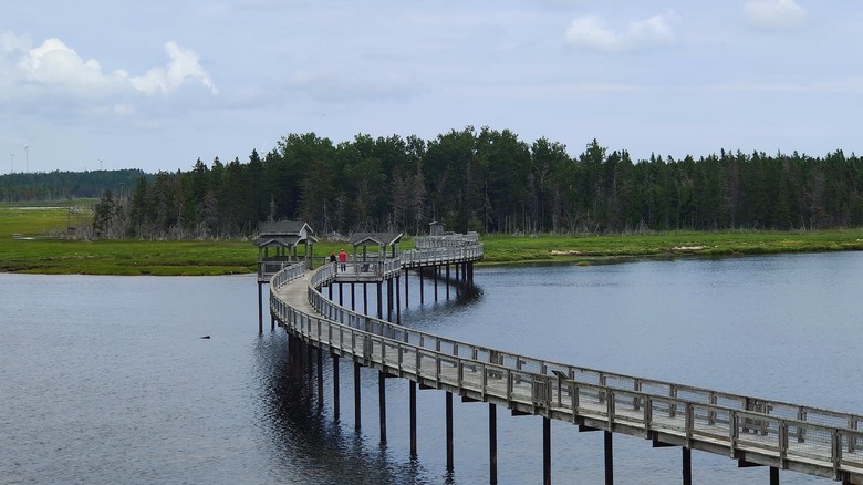El largo paseo marítimo hasta el parque ecológico de la isla de Lamèque conduce a una pequeña zona de bosque denso