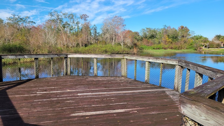Plataforma de observación con vistas a un cuerpo de agua arbolado en Peghorn Nature Park, Florida