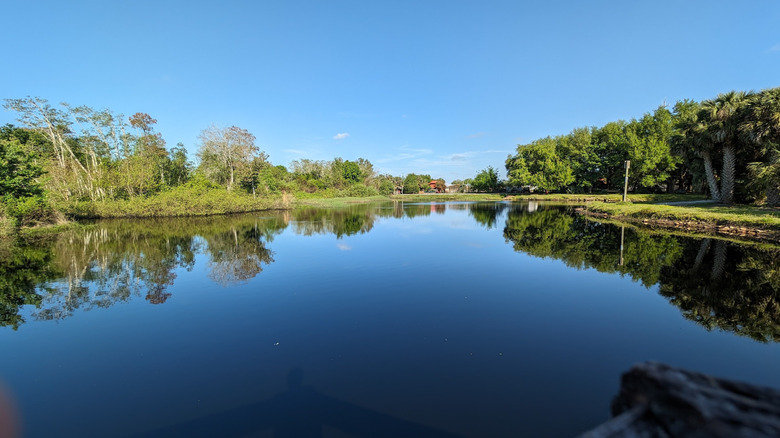 Parque Natural Peghorn en St. Cloud, Florida