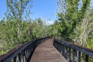 A las afueras de Orlando se encuentra la antigua tierra ganadera de Florida que ahora es un parque natural de humedales con senderos panorámicos y vida silvestre.