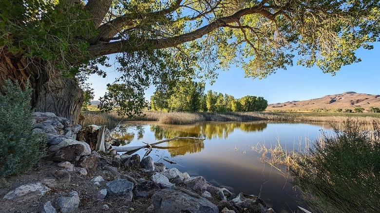 Lago al atardecer en el Refugio Nacional de Vida Silvestre Pahranagat