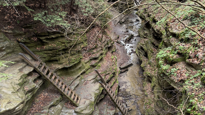 Escaleras de madera apuntaladas contra acantilados de roca en Bear Hollow en Turkey Run State Park en Indiana