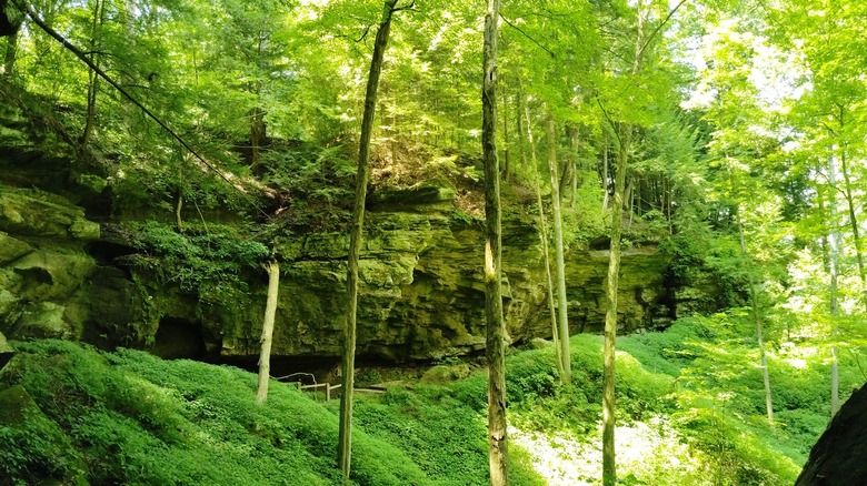 Una repisa de roca sobresale con un sendero que pasa debajo de ella en un bosque verde en el Parque Estatal Turkey Run en Indiana