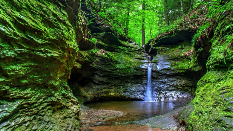 Una pequeña cascada cae en una piscina rodeada de arenisca cubierta de musgo en el bosque del Parque Estatal Turkey Run