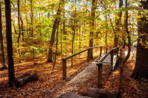 7 paseos panorámicos por la naturaleza de Indiana que muestran lo mejor del parque estatal Turkey Run