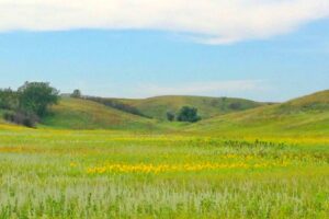 A 2 horas de Fargo se encuentra la escapada panorámica de Dakota del Norte con vistas al lago y vida silvestre única