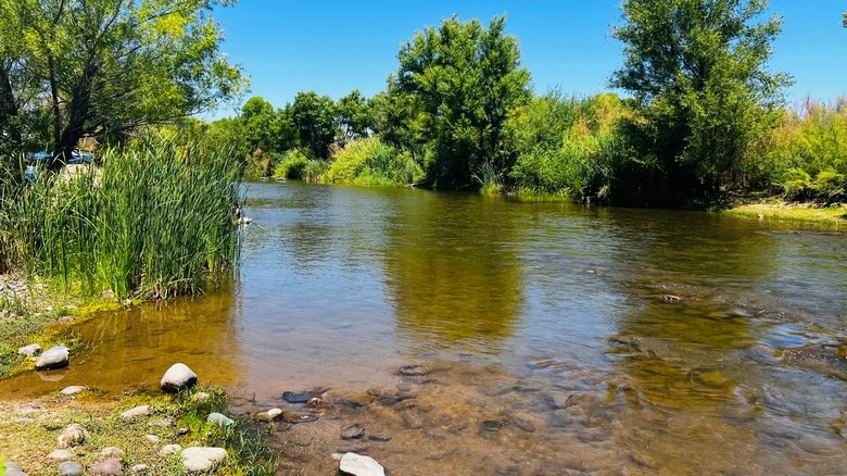 El río Verde en el área de uso diurno de Needle Rock, Bosque Nacional Tonto.