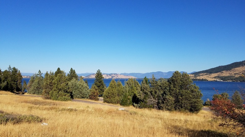 Árboles de hoja perenne en la colina seca en Lone Pine State Park, Montana, con el lago Foys al fondo