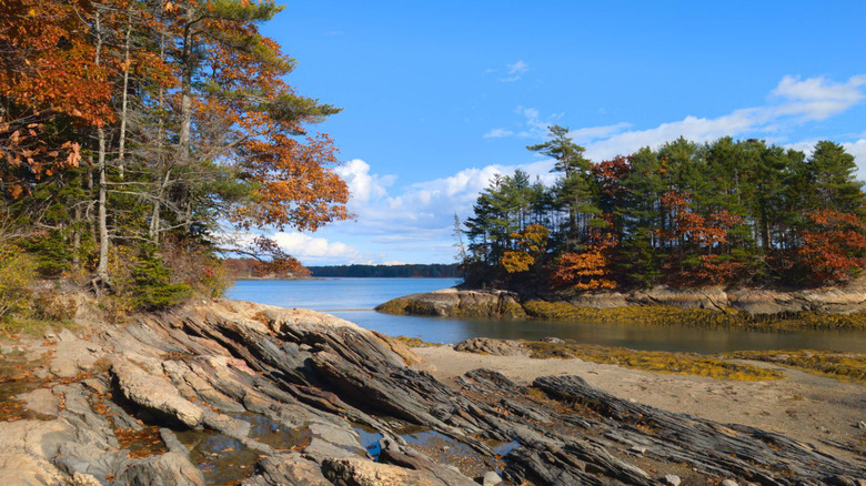Una costa rocosa cubierta de árboles y pinos rojos de otoño a lo largo de Casco Bay en Wolfe's Neck Woods State Park, Maine