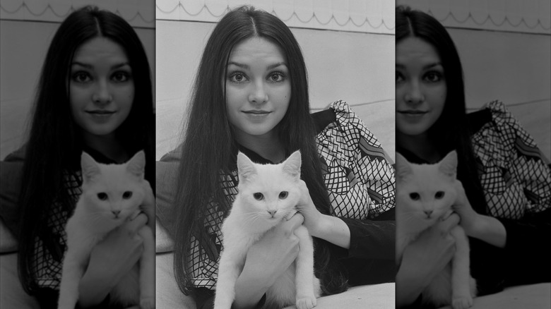 Un retrato de Victoria Principal en 1970 con cabello castaño lacio sosteniendo un gato blanco.