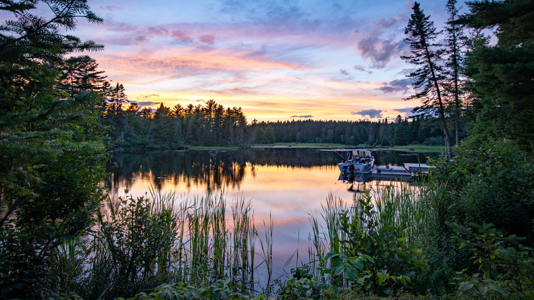 Fox Den Cove en el lago Moosehead en Maine al atardecer
