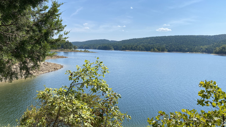 Lago Ouachita en Arkansas, con las hojas de los árboles en primer plano