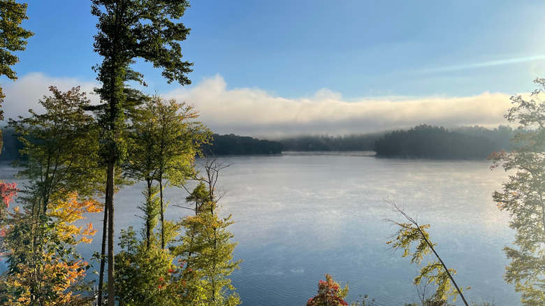 Lago Glenville, Carolina del Norte, con árboles flacos en primer plano