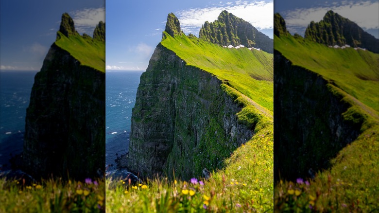 Los acantilados de Hornbjarg en los fiordos occidentales de Islandia