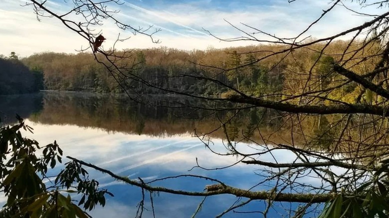 Trout Lake visto a través de las ramas de los árboles en Moses H. Cone Memorial Park a lo largo de Blue Ridge Parkway en Blowing Rock, Carolina del Norte