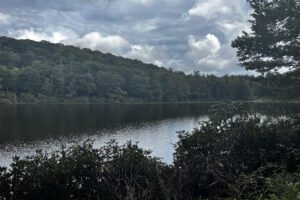 Entre Greensboro y Knoxville se encuentra el lago de montaña de Carolina del Norte para pescar y realizar paseos panorámicos por la naturaleza.