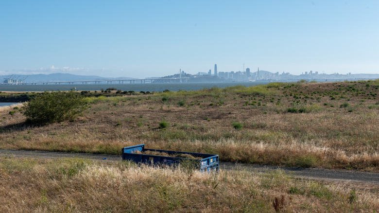 Vistas a la Bahía de San Francisco desde McLaughlin Eastshore State Park State Seashore.