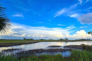 El escape natural de la costa del Golfo de Florida tiene senderos, pesca y paseos en bote a remo a una hora de Tallahassee